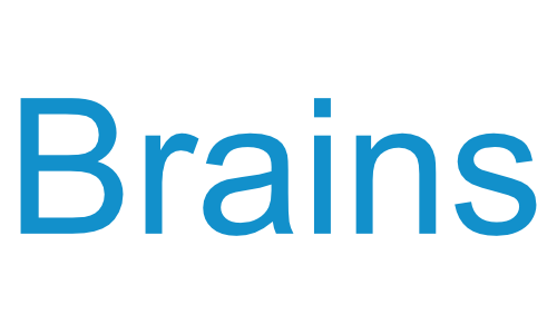 ブレーンズ株式会社